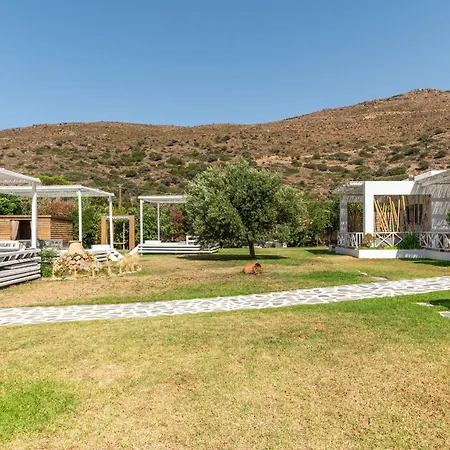 Ow Andros 3,private Whirlpool Aparthotel Kato Fellos