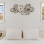 Ow Andros 3,private Whirlpool Aparthotel Kato Fellos