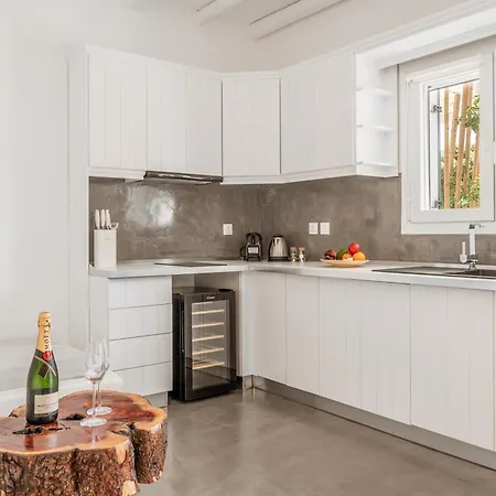 Ow Andros 3,private Whirlpool Lejlighedshotel Kato Fellos