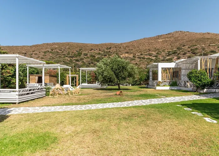 Ow Andros 3,private Whirlpool アパートホテル Kato Fellos